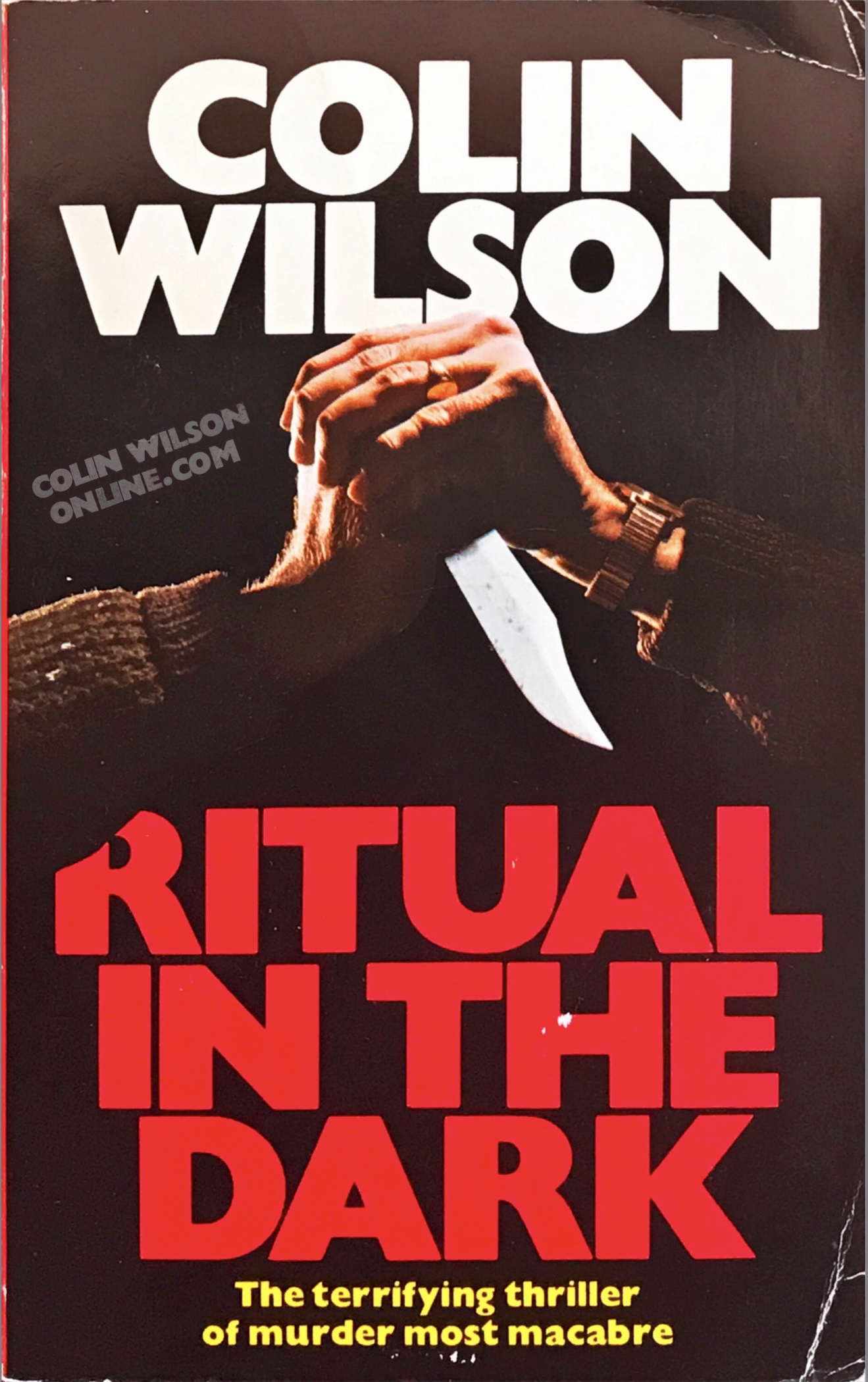 Fiction – The Phenomenology of Excess